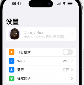 景洪appleID维修服务iPhone设置中Apple ID显示为灰色无法使用