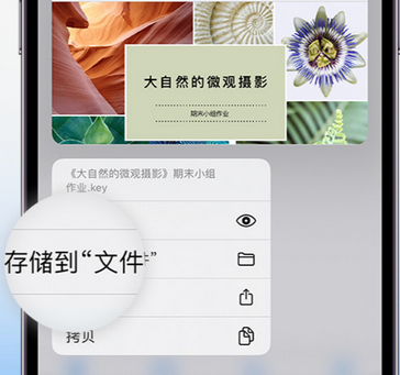 景洪apple维修中心分享iPhone文件应用中存储和找到下载文件