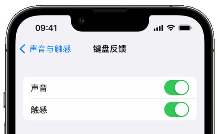 景洪苹果手机维修分享iPhone 14触感键盘使用方法 