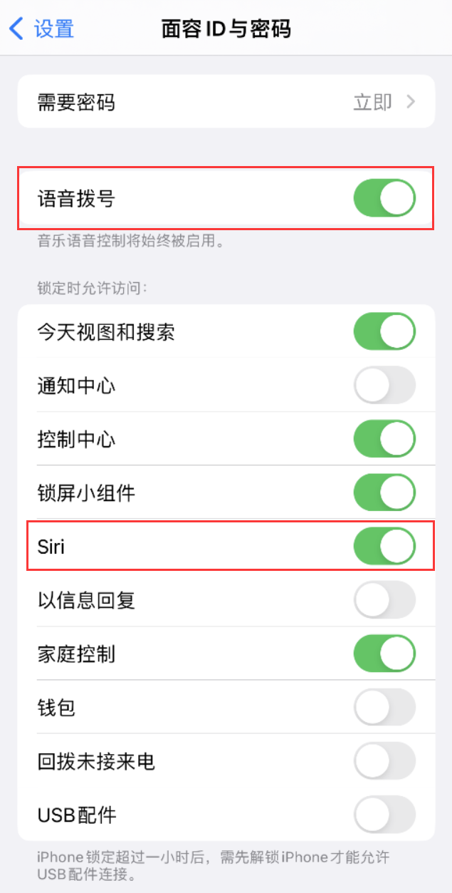 景洪苹果维修网点分享不解锁 iPhone 的情况下通过 Siri 拨打电话的方法 