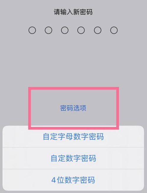 景洪苹果14维修分享iPhone 14plus设置密码的方法 