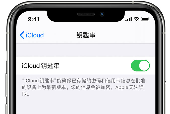 景洪苹果手机维修分享在 iPhone 上开启 iCloud 钥匙串之后会储存哪些信息 