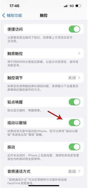 景洪苹果手机维修分享iPhone手机如何设置摇一摇删除文字 